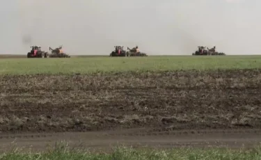 Умные технологии: искусственный интеллект начнут использовать в сельском хозяйстве