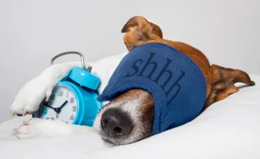 Как научиться управлять сном