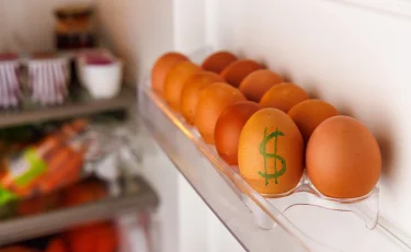 Зачем нужно класть монету в холодильник перед долгой поездкой