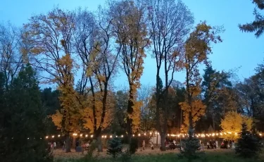 Нашествие каракуртов: ЧС могут объявить в Павлодарской области