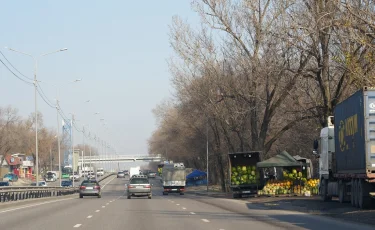 Смертельное ДТП: погиб велосипедист-подросток