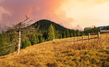 Жел соғып, үсік жүреді: бүгінгі ауа райы болжамы қандай