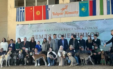 Көшпенділер даласы: Алматыда ит тұқымдарына арналған көрме ұйымдастырылды