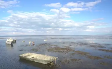 Арал теңізі қалпына келе ме: Сенат Қазақстан мен Өзбекстан әзірлеген маңызды құжатты мақұлдады