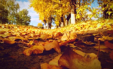 Бүгін еліміздің қай өңірінде жаңбыр жауады – синоптиктер болжамы