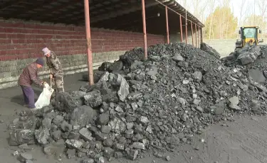 "Кусачие" цены: жители области Абай вынуждены покупать уголь втридорога