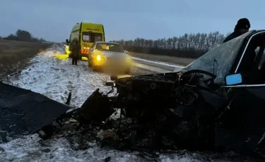 Павлодар облысында жол апатынан бір айлық нәресте көз жұмды