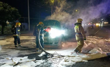 Автомобиль загорелся в Алматы: МЧС ликвидировало пожар за минуты