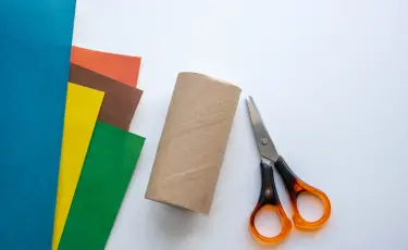 Нельзя выкидывать втулки от туалетной бумаги: раскрыт гениальный лайфхак для пользы в быту