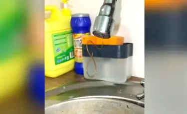 Алматы облысының тұрғындары ауыз суға зәру