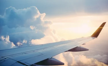 Трагедия в Южной Корее: пассажирский самолет врезался в ограждение и взорвался