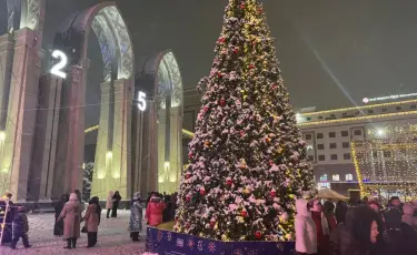 Алматының 8 кереметі: Жаңа жыл қарсаңында қалада 80 шыршаның шамы жағылды