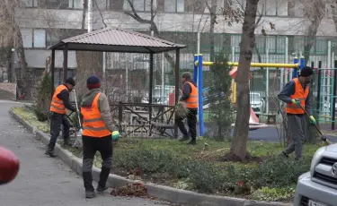 Алматы бойынша алғаш рет аулаларды жинаудың кешенді тәсілі қолданылды