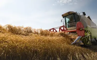 Батыс Қазақстанда 613 мың гектар алқапқа дақылдар егу жоспарланып отыр