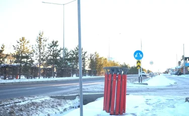 Шымкент көшелеріне 66 млн теңгеге қоқыс жәшіктері орнатылды