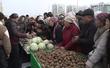 Картоп бағасы қымбаттады: Түркістан облысында қандай шара қабылданып жатыр
