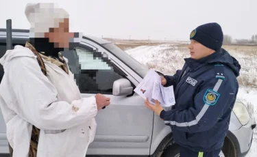 Ақмола облысында үш елікті заңсыз атып алғандар ұсталды