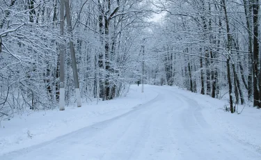 18 қаңтарға арналған ауа райы болжамы