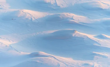 Шығыс Қазақстан облысында қар көшкіні жүрді