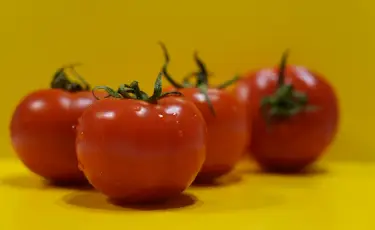 Томатный джекпот: этот сорт заполнит вашу кухню даже в холодное лето
