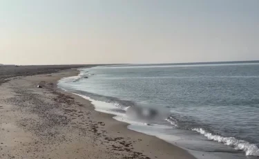 Әзербайжан-Иран шекарасындағы аудандарда жер сілкінді