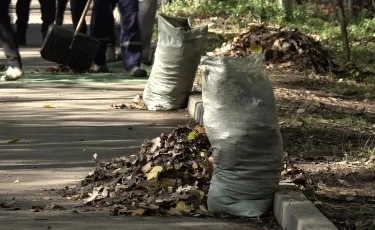Экологиялық мәдениет: қоқыстан пайда табатындар бар ма