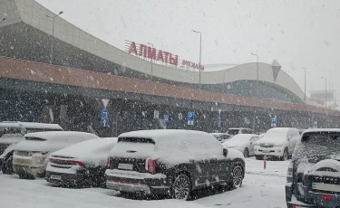 В аэропорту Алматы открыли зону для домашних животных