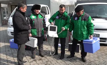 В Алматы заработала скорая помощь для бродячих животных