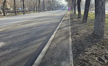 Биыл Бостандық ауданында 11 магистральді көшеде техникалық тротуарлар салынады