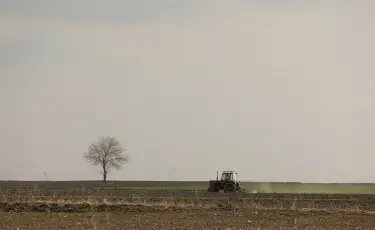 В Туркестанской области при подготовке полей к посевной обнаружили человеческие останки