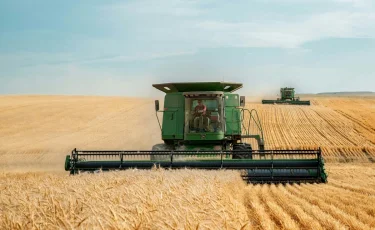 Казахстан ищет новые маршруты для экспорта зерна