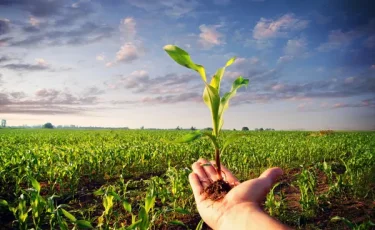 Қазақстандық фермер субсидияны заңсыз алып, көлік сатып алған