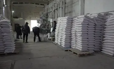 Развитие экспорта: в Казахстане появятся новые инструменты поддержки для производителей
