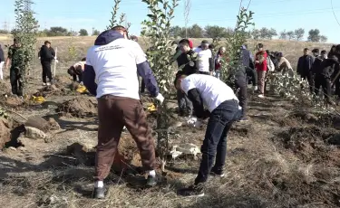 Защита природы и чистый город: в ряды экорейнджеров вступает молодежь мегаполиса