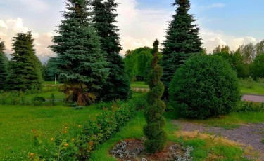 Весна пришла: какую ошибку делают 9 из 10 дачников