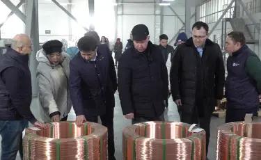 Отечественная продукция: какие предприятия развиваются в индустриальной зоне Алматы