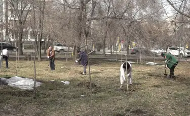 Жаңару күні: Алматыда жалпықалалық сенбілік өтті