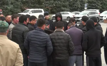 Жамбыл облысында 140-тан аса ветеринар неге жұмыссыз қалды