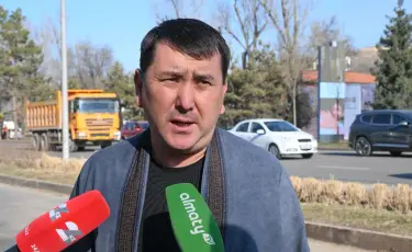 Ірі көлемді ағаш көшеттері экологияға бірден әсер етеді - сарапшы