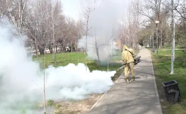 В Алматы усилен контроль за санитарной обстановкой