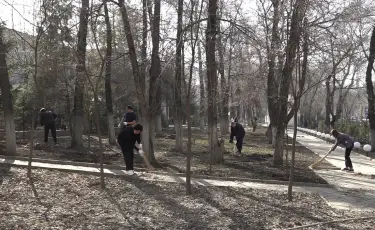 Алматы – біздің ортақ үйіміз: науқанға болашақ дәрігерлер де қатысты