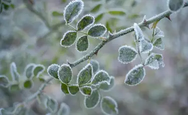 -20 градус аяз: Бірнеше өңірде дауылды ескерту жарияланды