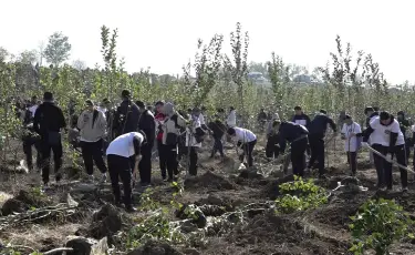 Наурыз - символ обновления природы и начало новой жизни