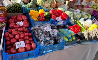 Сельскохозяйственные ярмарки пройдут в Алматы в честь Наурыза