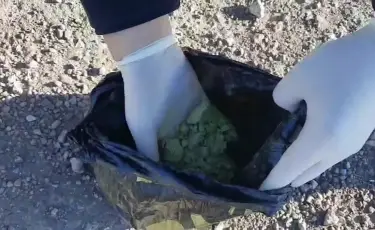 Заң және тәртіп: АҚШ-тан пошта арқылы келген 23 келі зиянды зат тәркіленді