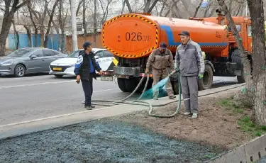 Гидросебу: Алматыда көктемгі көгалдандыру жұмысы басталды