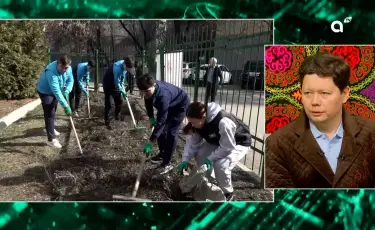 Природа обновляется: почему важно беречь зеленый фонд и очищать города от мусора