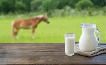 Қазақстанда қымыз өндірісі артты