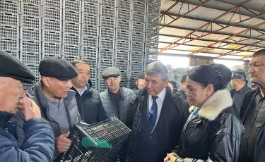 Алматы облысында  пластик жәшік шығаратын цех ашылды