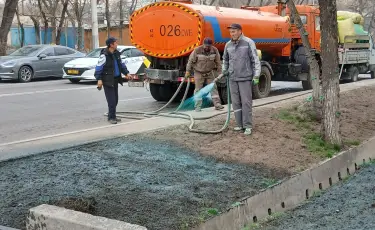 В Алматы озеленяют улицы с помощью новой технологии